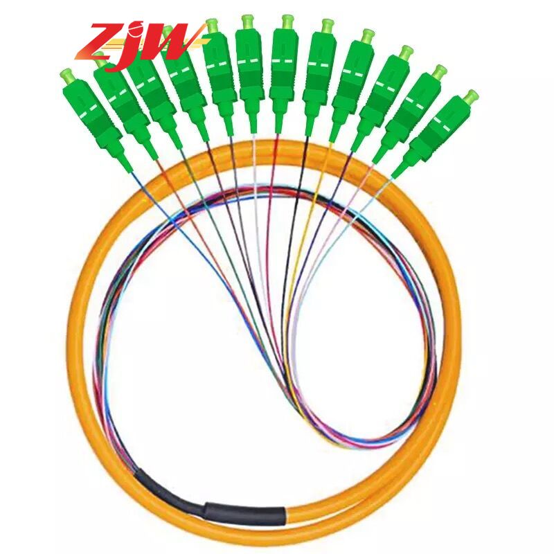 ZJW 12 Strand 9/125 Fiber Optic Pigtail SC/APC Single Mode,3 meter 12 core fiber pigtail