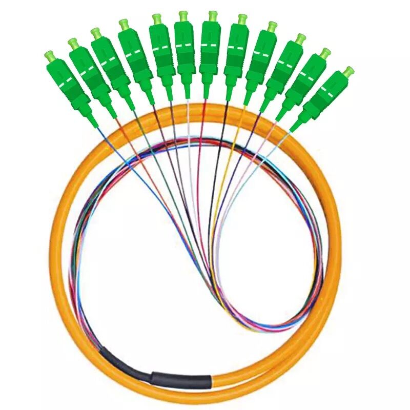 ZJW 12 Strand 9/125 Fiber Optic Pigtail SC/APC Single Mode,3 meter 12 core fiber pigtail