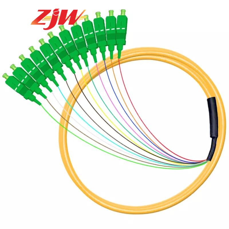 ZJW 12 Strand 9/125 Fiber Optic Pigtail SC/APC Single Mode,3 meter 12 core fiber pigtail