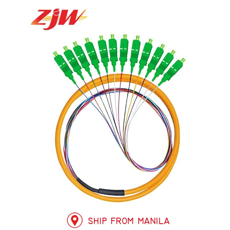 ZJW 12 Strand 9/125 Fiber Optic Pigtail SC/APC Single Mode,3 meter 12 core fiber pigtail