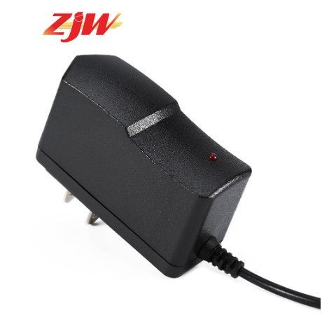 ZJW 12V 1A Power Adapter AC100-240V 12W Power Supply for CCTV Camera DVR LED light